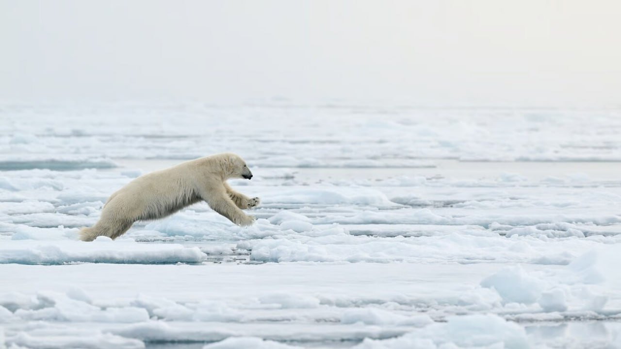 Cosmic Dust Helped Reconstruct the History of Arctic Ice Melting
