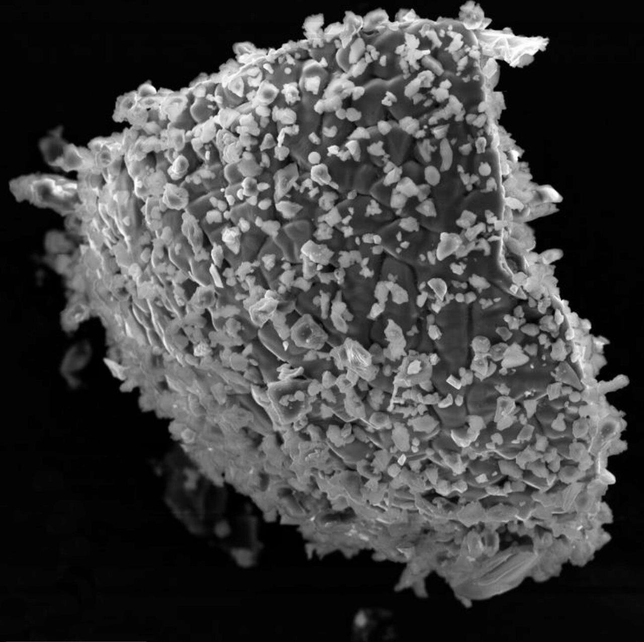 Russian Scientists Discover Traces of Ancient Volcanic Gases in Lunar Soil