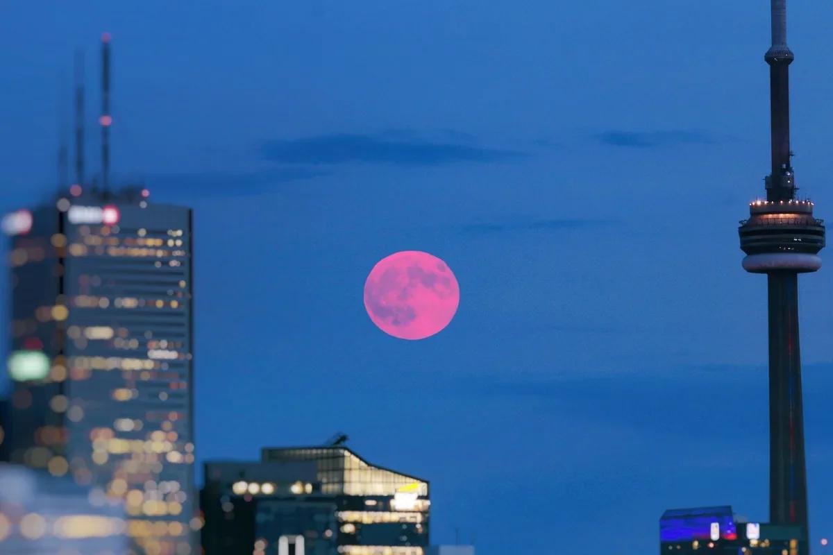 "Pink Moon" to Appear in the Sky

This is not a joke, but a beautiful yet slightly misleading name for April's full moon. The peak will occur tomorrow at 05:11 MSK.

Spoiler: the satellite won't actually be pink but will remain its usual silvery color.

What makes this full moon special and why is it called the "Pink Moon"?