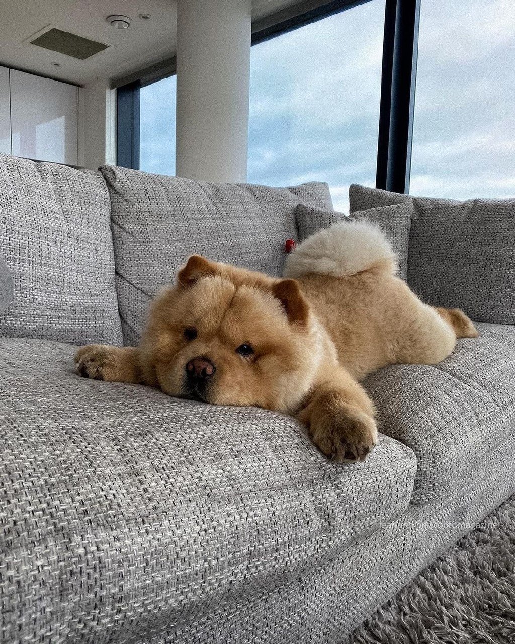 Women's Struggle with Abuse and Empowerment

Women often endure mistreatment from men, experiencing betrayal, violence, abuse, and degradation. Despite this, they tend to show love, forgiveness, and tolerance towards such behavior.

However, it is crucial to stand up against such mistreatment. Refusing to accept humiliation or abuse in the name of love is essential for self-respect and empowerment. Choosing solitude over a toxic relationship where one is belittled for another's ego is a powerful act of self-preservation.

A man deserving of admiration, respect, and love is the standard to uphold. It is vital to value oneself and only engage with individuals who appreciate and uplift one's worth.