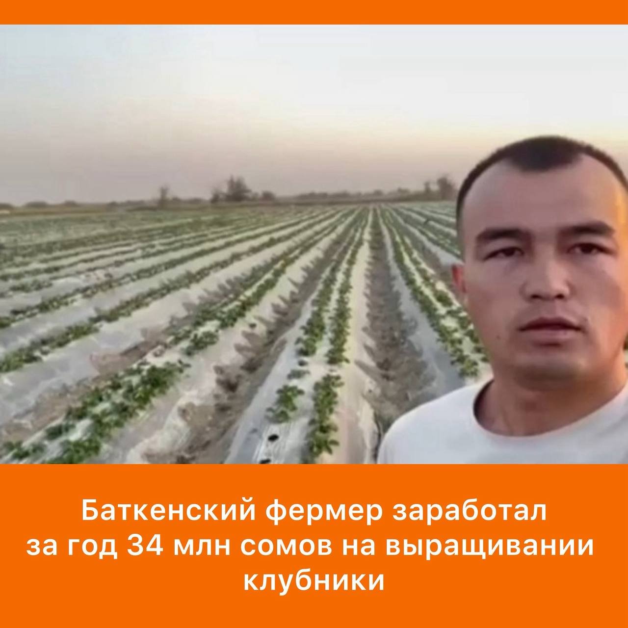 Village Farmer Boosts Income Through Intensive Strawberry Farming