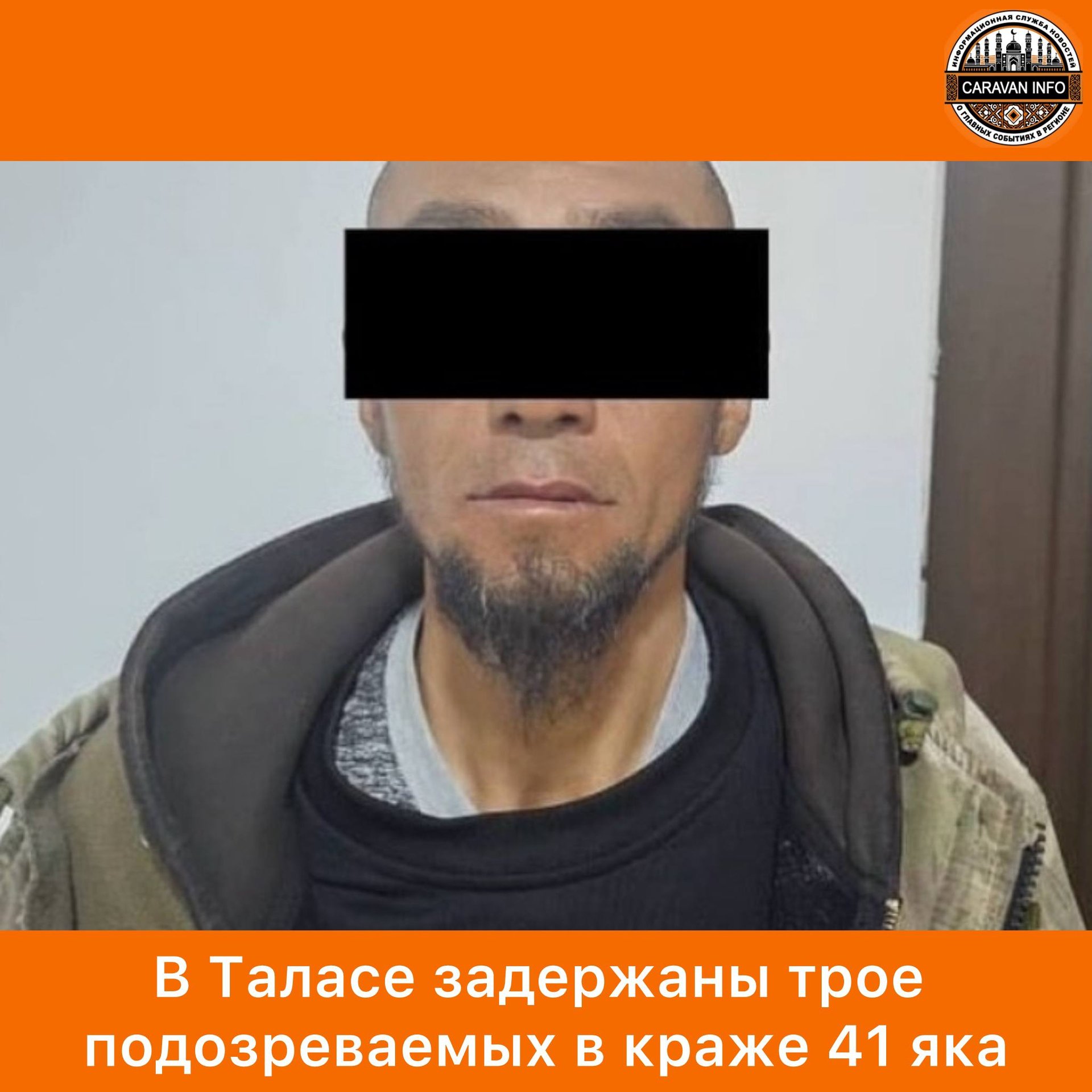 Three Suspects Detained in Talas for Stealing 41 Yaks

A major cattle theft case unfolded in Talas as 41 yaks disappeared from the Kara-Kol pasture. The incident was reported by a local resident in 2002 on October 14, 2025. Subsequently, the Talas District Police Department initiated a criminal case under Article 205-1 of the Kyrgyz Republic's Criminal Code, focusing on "Cattle theft."

After conducting operational activities, law enforcement officers in Talas identified and captured three suspects involved in the theft. The individuals include a fellow villager of the victim from Talas (born in 1983, R.K.), along with two alleged accomplices - a Talas resident born in 1982 (N.T.) and a Nooken district native in the Osh region born in 1980 (M.Y.). Currently, all three suspects are in temporary detention as the investigation continues.