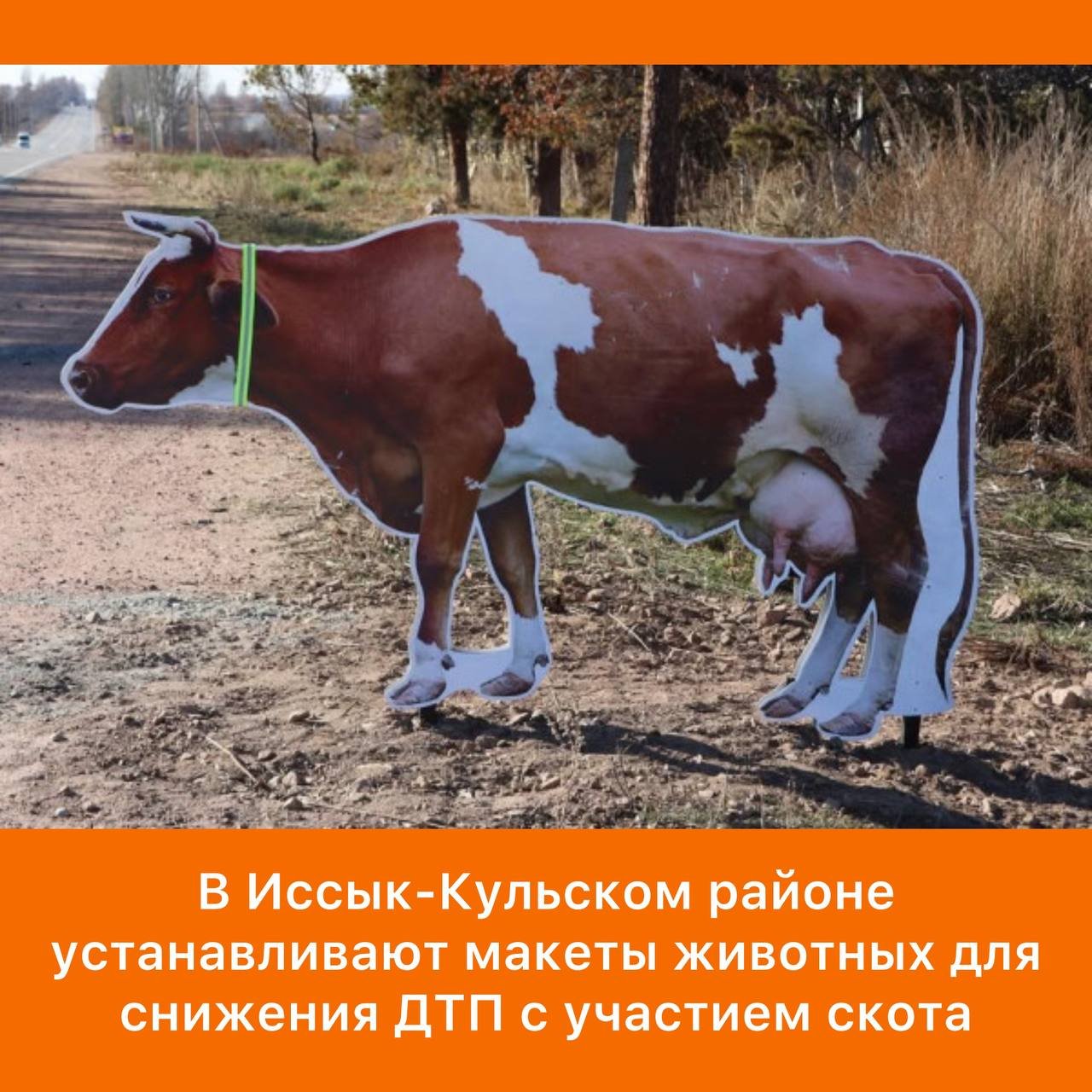 Animal Models Installed on Roads to Improve Road Safety