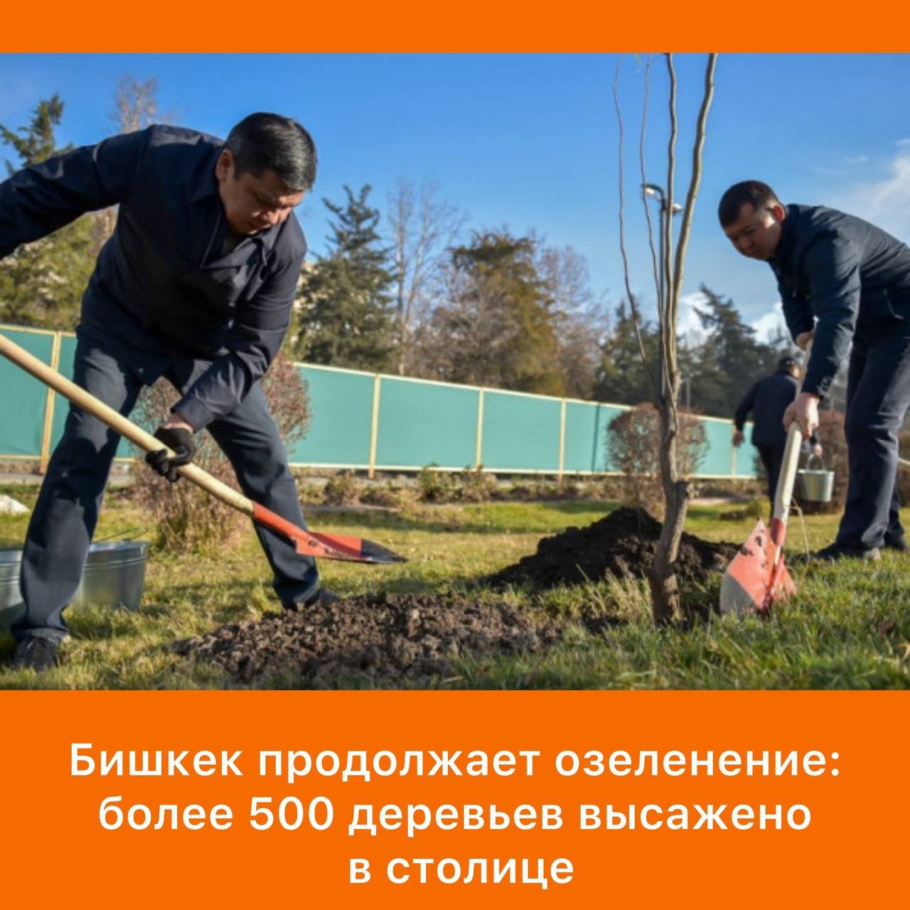 Capital Mayor Leads Autumn Tree Planting Initiative

The mayor of the capital, Aibek Junushaliev, participated in an autumn tree planting event as part of the city's greening program. Willows and maple saplings were planted at various locations in the city, with over 500 trees being planted during this initiative.

Junushaliev directed the Municipal Enterprise "Bishkekgreenstroy" to ensure proper care for the newly planted trees. He highlighted the city's ongoing efforts to expand green areas, enhance the environment, and improve the overall aesthetics of the streets. By the end of 2025, the city plans to plant more than 15,000 new trees, building upon the 7,824 trees planted earlier in the spring.