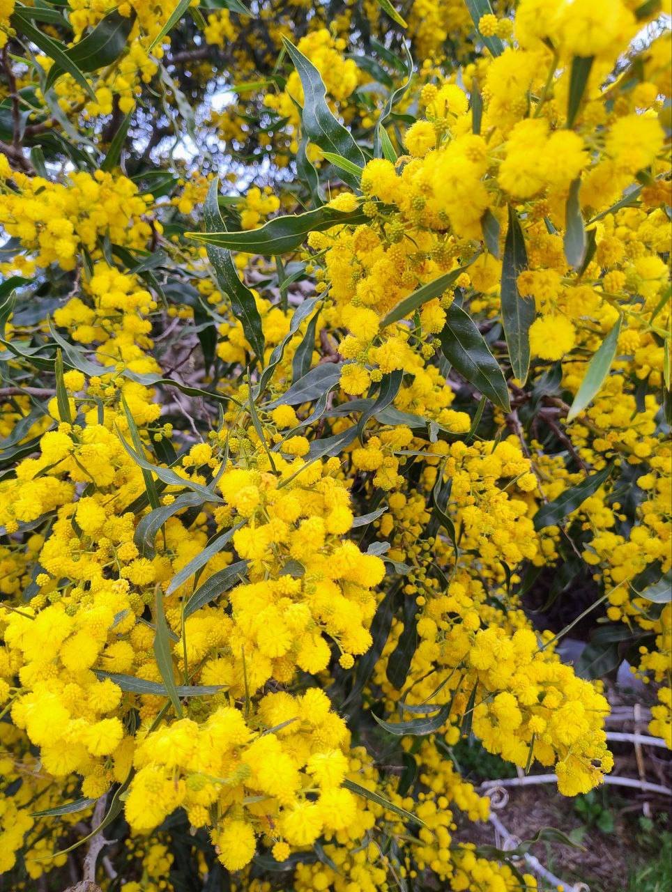 Empowerment and Support for Women

Dear women!

My main wish for you is freedom and self-acceptance.

And of course, to have other women around who are understanding, warm, brave, and joyful.

Happy holiday!