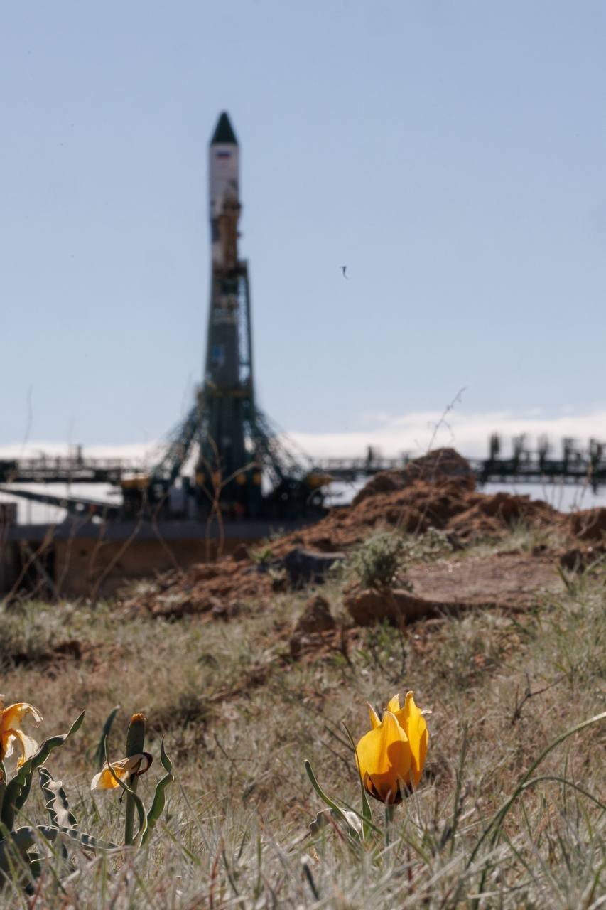 Rocket Rollout and Verticalization of "Progress MS-34" at Baikonur
