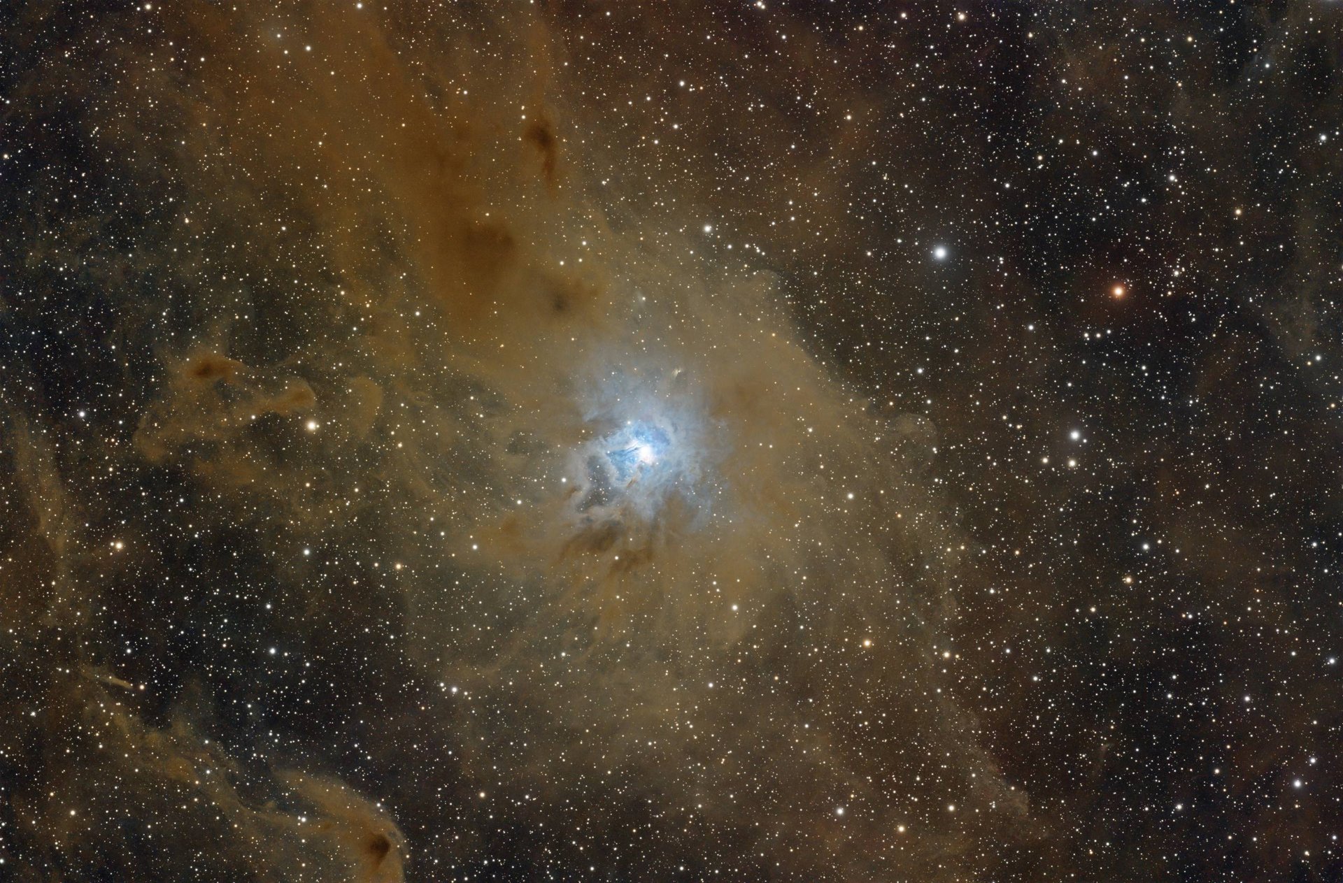 Iris Nebula: Cosmic Flower in the Constellation of Cepheus