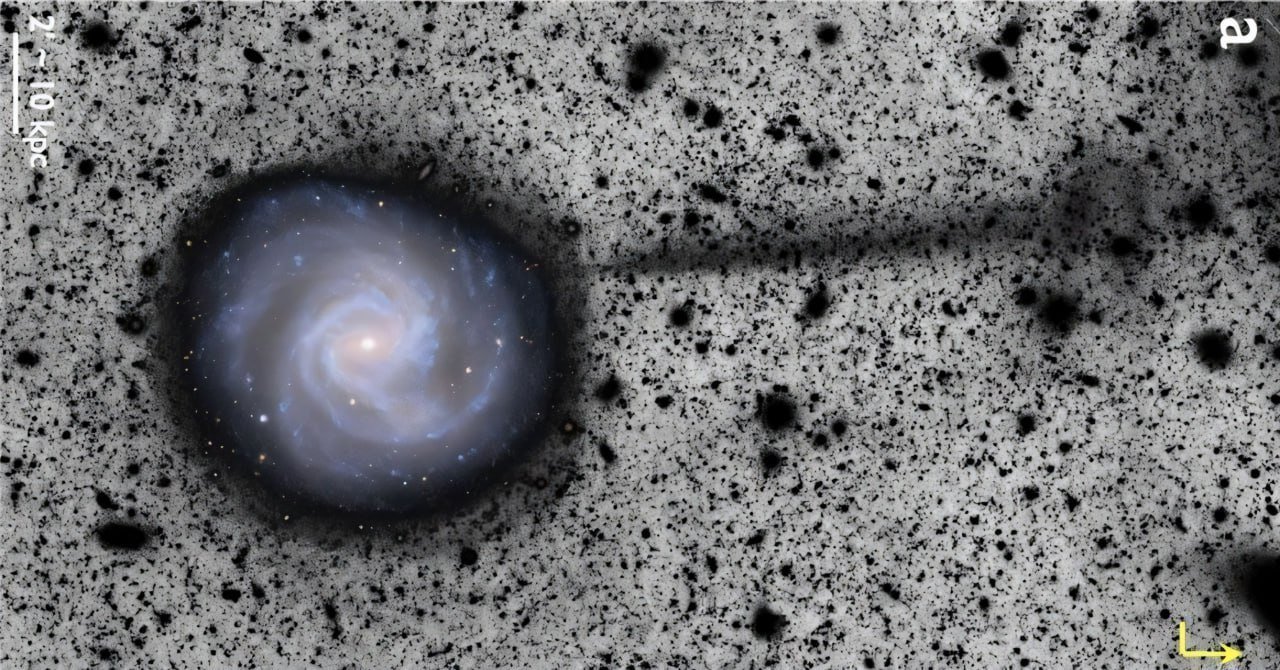 Massive Stellar Stream Discovered From Galaxy M61 in Virgo Cluster