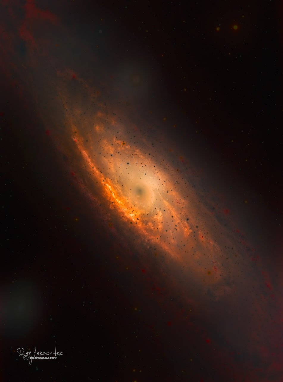 Наша соседка - галактика Андромеды в необычной обработке от астрофотографа Rey Hernandez