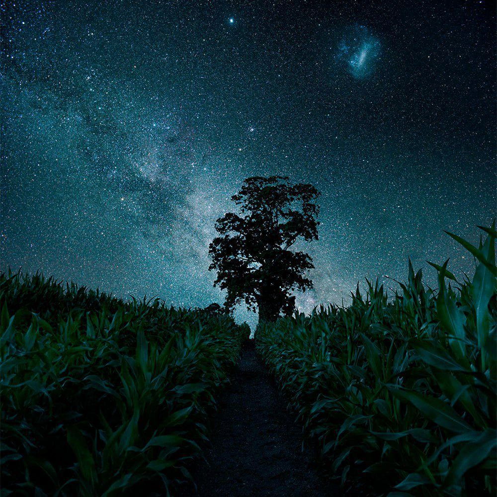 Большое Магелланово облако над кукурузным полем в Чили