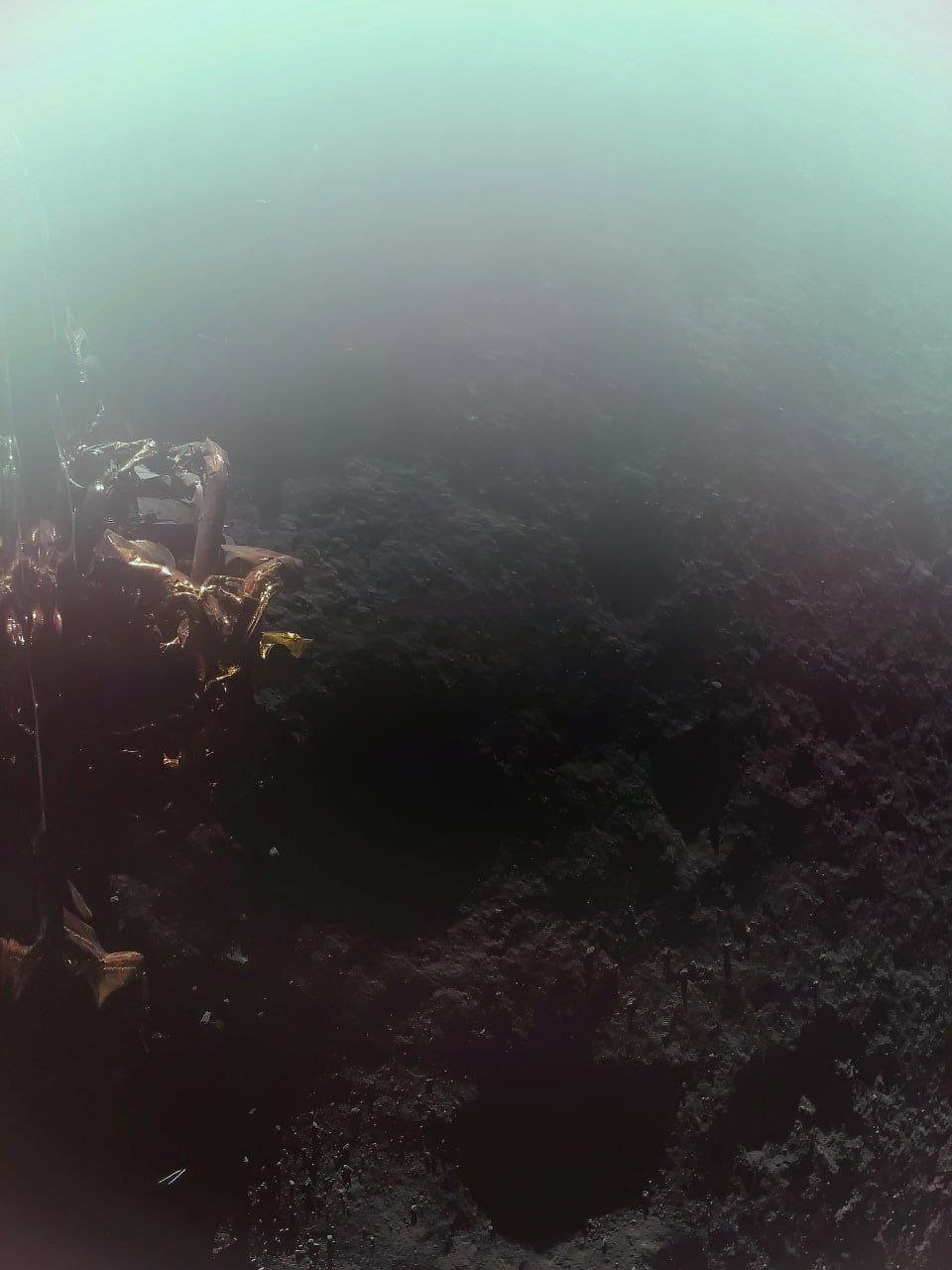 А вот и первое фото с лунной поверхности от аппарата Blue Ghost.