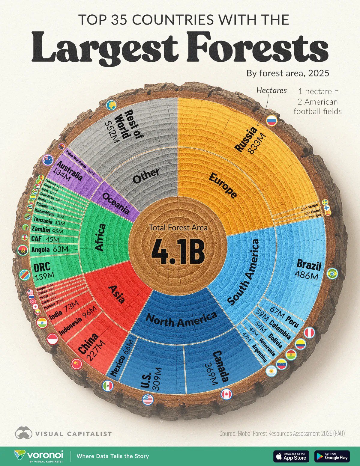 Countries with the Largest Forests