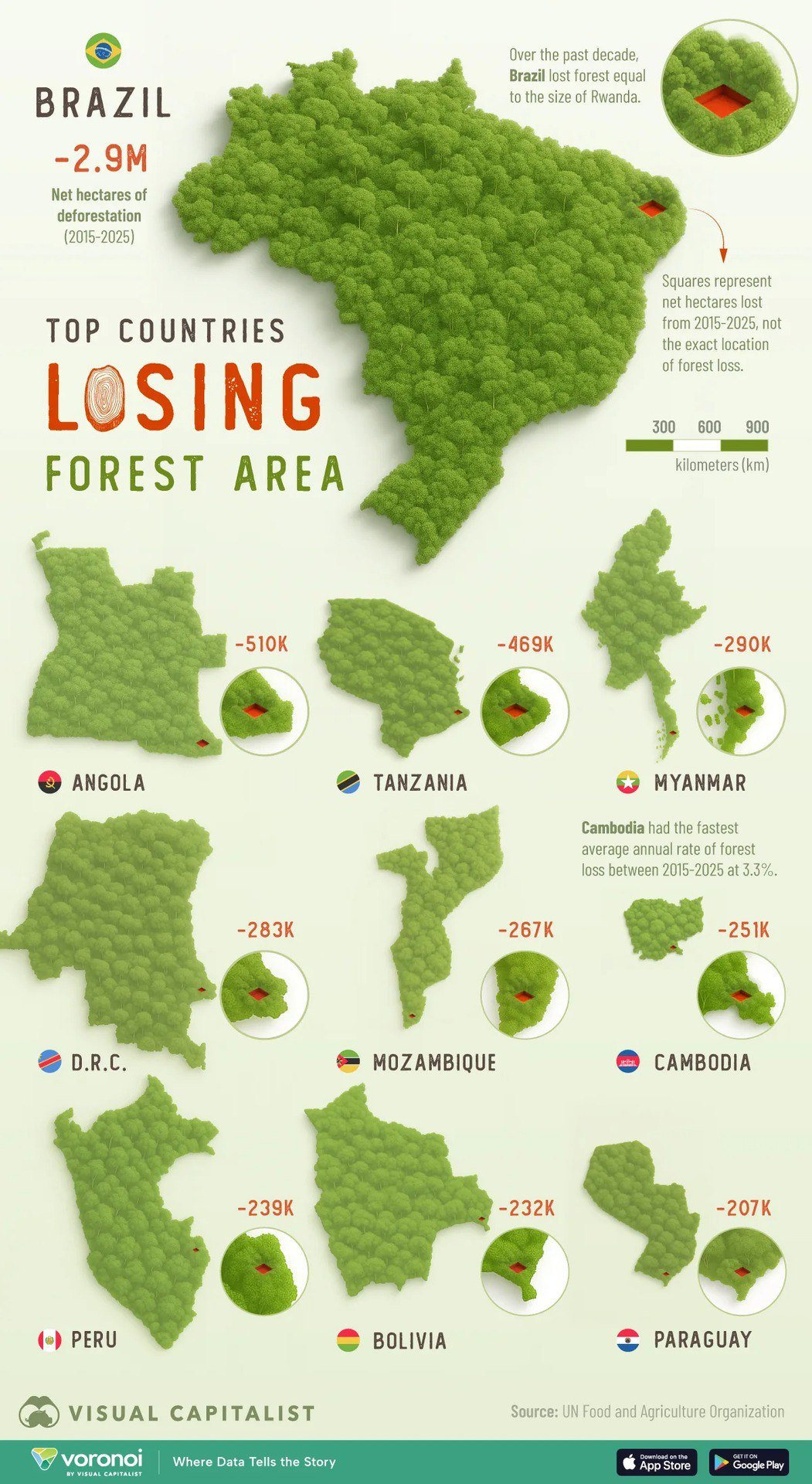 Countries Leading in Forest Loss