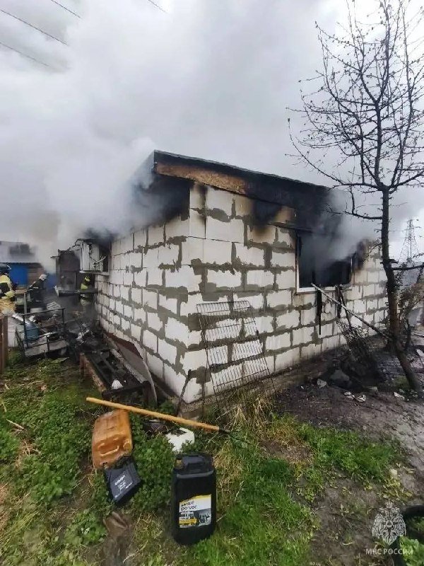 200 Puppies Perish in Tragic Fire Due to Negligence

Around 200 puppies of Spitz, Bulldogs, and Chihuahuas tragically died in a fire caused by the owner's negligence in Nizhny Novgorod. The owner heated the dogs' living area with an old stove lacking a damper, leading to coals escaping and igniting a fire that consumed part of the building. The blaze, covering 50 square meters, left the animals trapped inside, unable to flee the flames.

The devastating incident resulted in the loss of all the puppies, which the owner was breeding for sale. The heartbreaking loss included young dogs from various popular breeds such as Spitz, Bulldogs, and Chihuahuas.