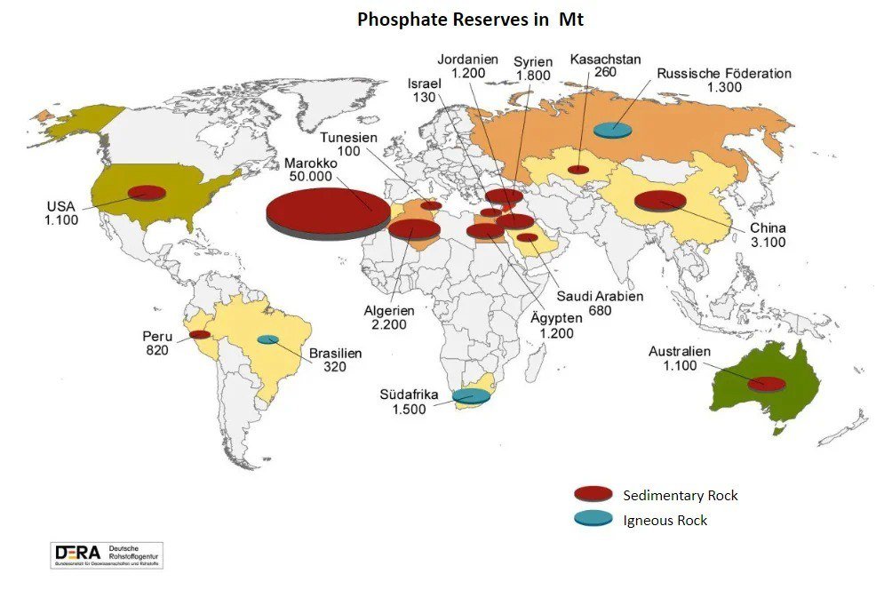 Phosphate Reserves in Different Countries Worldwide

Phosphates are essential for producing phosphorus fertilizers, crucial for modern agriculture. The largest phosphate reserves globally are found in Morocco, totaling around 50 billion tons. In comparison, China follows with 3.1 billion tons, and Algeria ranks third with 2.2 billion tons.

Other countries with significant phosphate reserves include Egypt, Jordan, the USA, and Australia, each holding slightly over 1 billion tons. These reserves play a vital role in sustaining agricultural production worldwide.