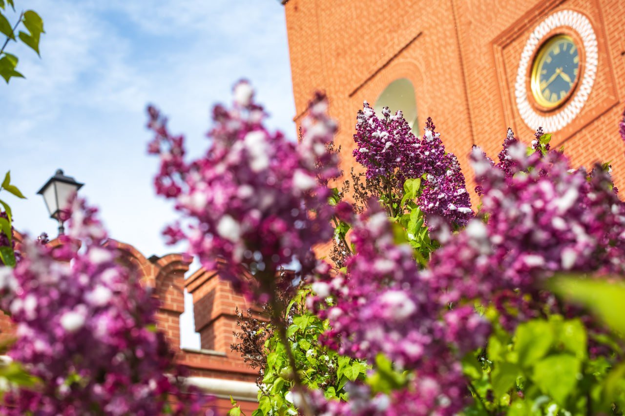 Happy Spring and Labor Day Celebration at the Moscow Kremlin Museums