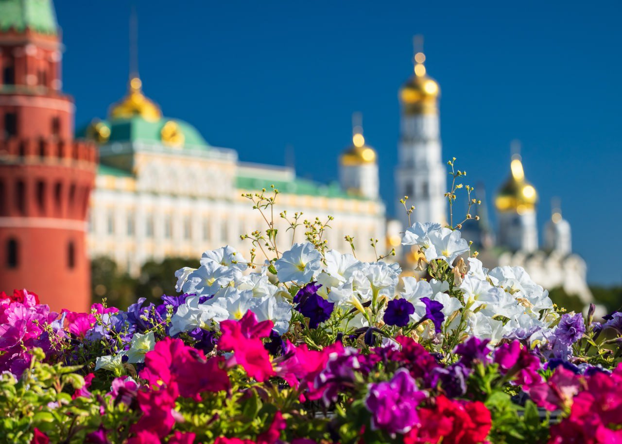 Moscow Kremlin Museums Extend Summer Hours

Starting from Friday, May 15, the Museums of the Moscow Kremlin will transition to their summer operating schedule.

The Armory Chamber, the architectural ensemble of Cathedral Square, and the exhibition "Descendants of Genghis Khan. Rus and the World" will be accessible from 9:30 AM to 6:00 PM. Ticket offices will be open from 9:00 AM to 5:00 PM.

We are excited to welcome visitors during the extended hours this summer season! 🌿