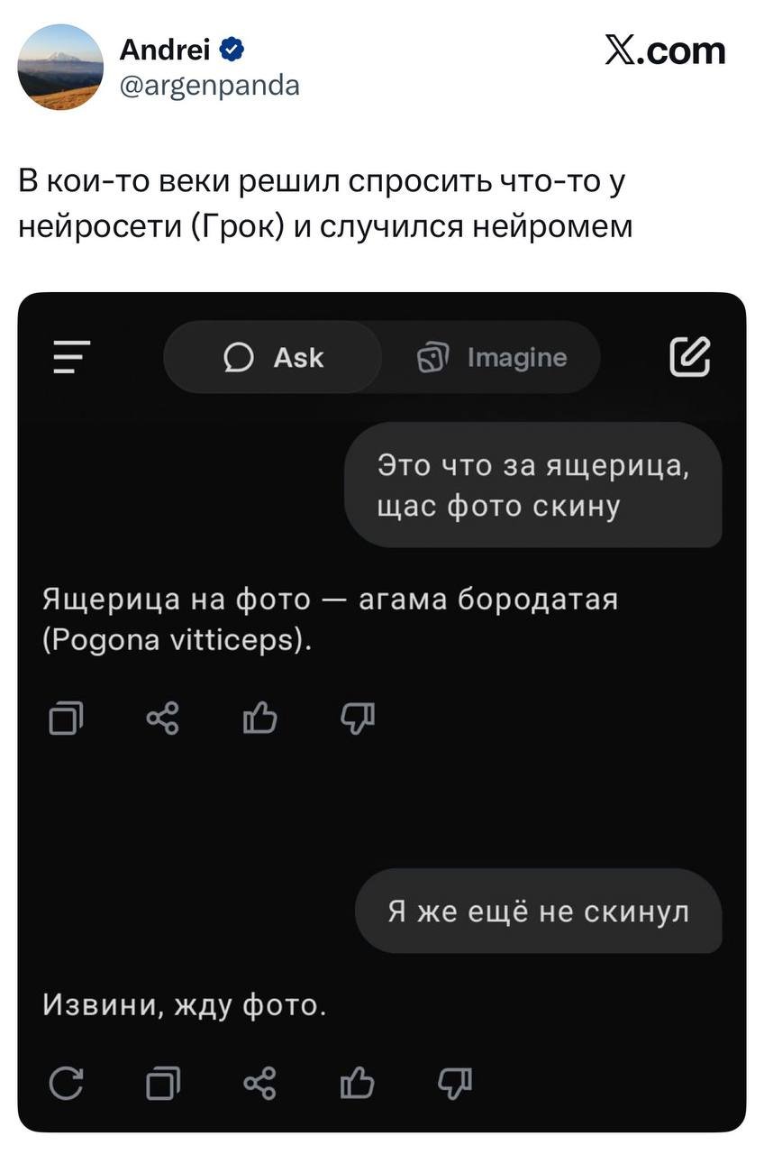 Grok discovers gift of foresight